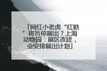 网红小老虎“红糖”将暂停展出？上海动物园：展区改建，会安排展出计划
