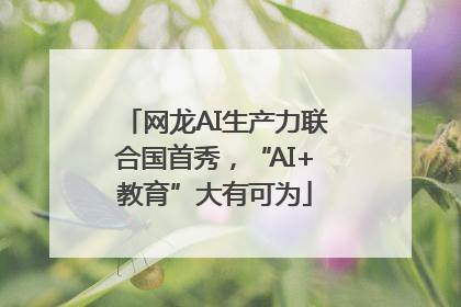网龙AI生产力联合国首秀，“AI+教育”大有可为