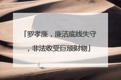 罗孝廉，廉洁底线失守，非法收受巨额财物