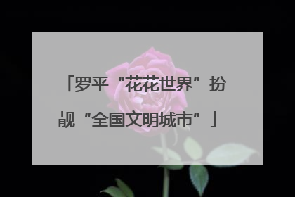 罗平“花花世界”扮靓“全国文明城市”