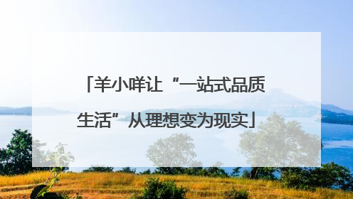 羊小咩让“一站式品质生活”从理想变为现实