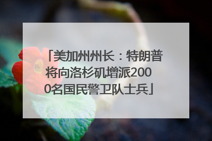 美加州州长：特朗普将向洛杉矶增派2000名国民警卫队士兵