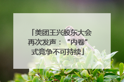 美团王兴股东大会再次发声：“内卷”式竞争不可持续