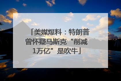 美媒爆料：特朗普曾怀疑马斯克“削减1万亿”是吹牛