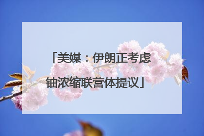 美媒：伊朗正考虑铀浓缩联营体提议