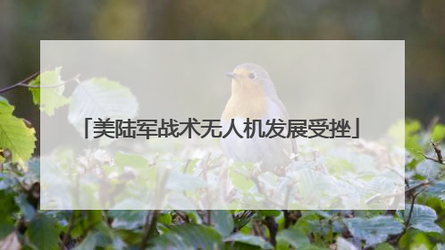 美陆军战术无人机发展受挫