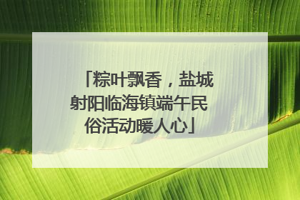 粽叶飘香，盐城射阳临海镇端午民俗活动暖人心