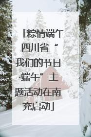 粽情端午 四川省“我们的节日·端午”主题活动在南充启动