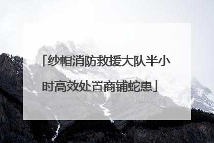纱帽消防救援大队半小时高效处置商铺蛇患