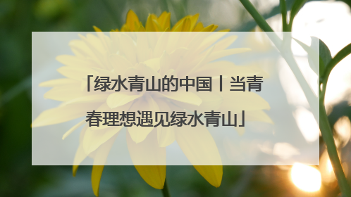 绿水青山的中国丨当青春理想遇见绿水青山