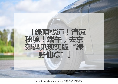 绿荫栈道！清凉秘境！端午，去京郊遇见现实版“绿野仙踪”