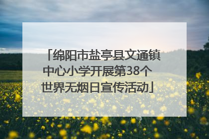 绵阳市盐亭县文通镇中心小学开展第38个世界无烟日宣传活动
