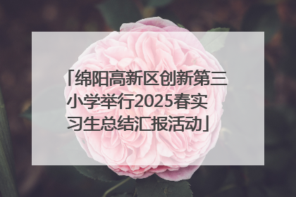 绵阳高新区创新第三小学举行2025春实习生总结汇报活动