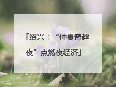 绍兴：“仲夏奇趣夜”点燃夜经济