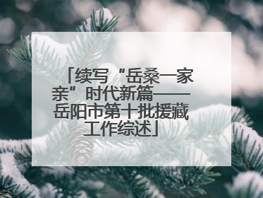 续写“岳桑一家亲”时代新篇——岳阳市第十批援藏工作综述