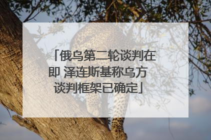 俄乌第二轮谈判在即 泽连斯基称乌方谈判框架已确定
