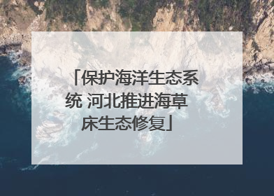 保护海洋生态系统 河北推进海草床生态修复