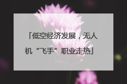 低空经济发展，无人机“飞手”职业走热