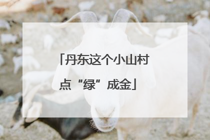丹东这个小山村点“绿”成金