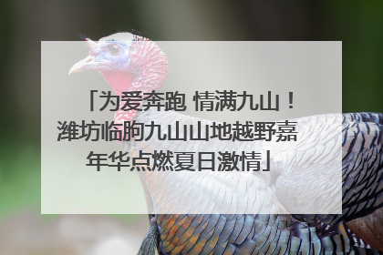 为爱奔跑 情满九山！潍坊临朐九山山地越野嘉年华点燃夏日激情