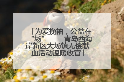 为爱挽袖，公益在“场”——青岛西海岸新区大场镇无偿献血活动温暖收官