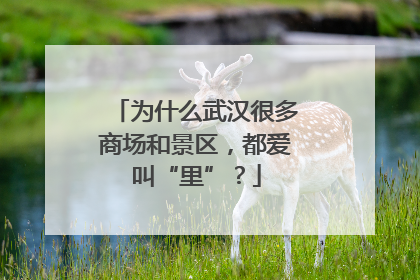 为什么武汉很多商场和景区，都爱叫“里”？