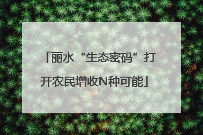 丽水“生态密码”打开农民增收N种可能