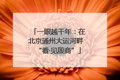 一眼越千年：在北京通州大运河畔“看·见殷商”