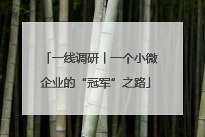 一线调研丨一个小微企业的“冠军”之路