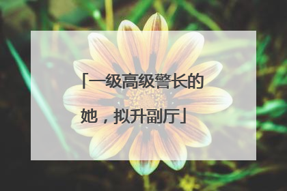 一级高级警长的她，拟升副厅