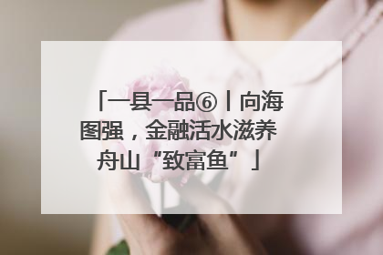 一县一品⑥丨向海图强，金融活水滋养舟山“致富鱼”