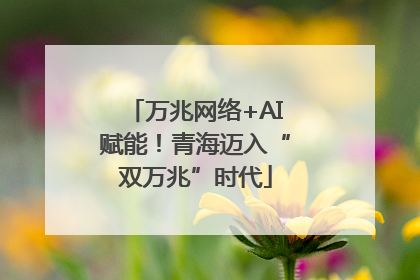 万兆网络+AI赋能！青海迈入“双万兆”时代