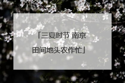 三夏时节 南京田间地头农作忙