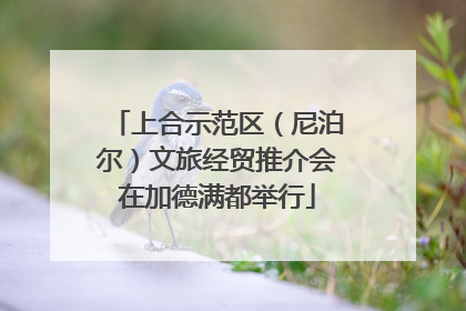 上合示范区（尼泊尔）文旅经贸推介会在加德满都举行