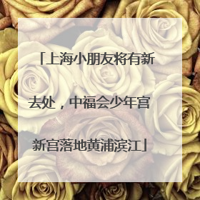 上海小朋友将有新去处，中福会少年宫新宫落地黄浦滨江