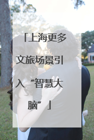 上海更多文旅场景引入“智慧大脑”