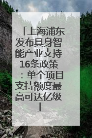 上海浦东发布具身智能产业支持16条政策：单个项目支持额度最高可达亿级