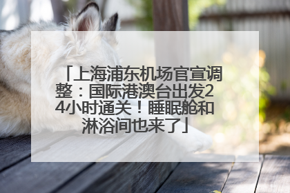 上海浦东机场官宣调整：国际港澳台出发24小时通关！睡眠舱和淋浴间也来了