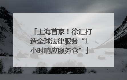 上海首家！徐汇打造全球法律服务“1小时响应服务仓”