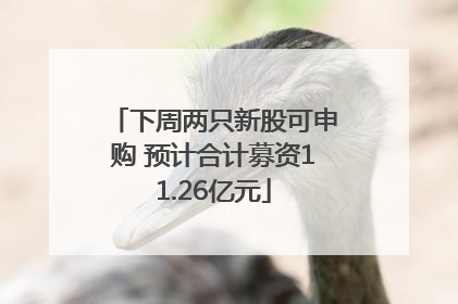 下周两只新股可申购 预计合计募资11.26亿元