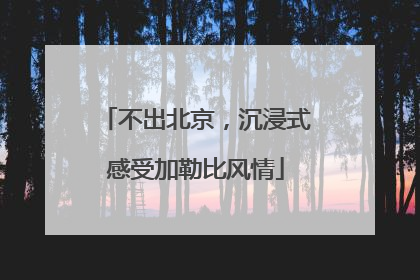 不出北京，沉浸式感受加勒比风情