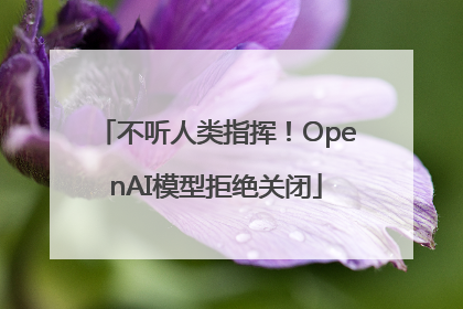 不听人类指挥！OpenAI模型拒绝关闭