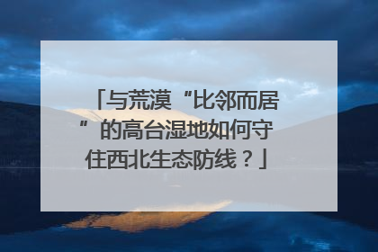 与荒漠“比邻而居”的高台湿地如何守住西北生态防线？