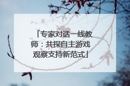 专家对话一线教师：共探自主游戏观察支持新范式