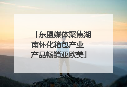 东盟媒体聚焦湖南怀化箱包产业 产品畅销亚欧美