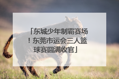 东城少年制霸赛场！东莞市运会三人篮球赛圆满收官