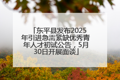 东平县发布2025年引进急需紧缺优秀青年人才初试公告，5月30日开展面谈