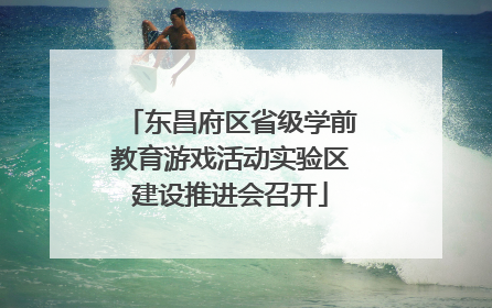 东昌府区省级学前教育游戏活动实验区建设推进会召开