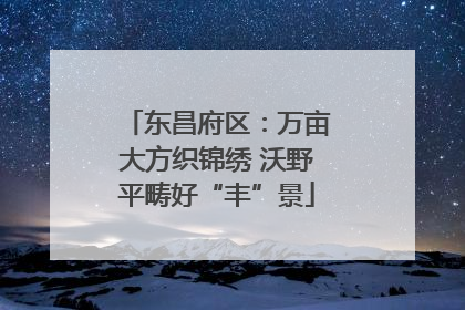 东昌府区：万亩大方织锦绣 沃野平畴好“丰”景