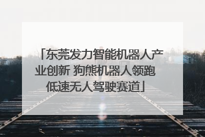 东莞发力智能机器人产业创新 狗熊机器人领跑低速无人驾驶赛道